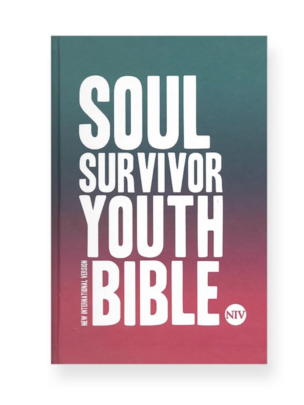 Soul Survivor Youth Bible